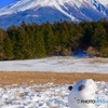 雪だるまと富士山
