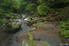 裏見の滝　下流