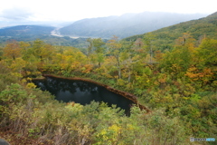 月山　紅葉