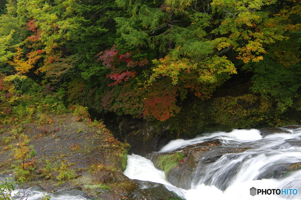 竜頭の滝　上流