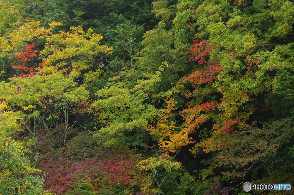 竜頭の滝　上流