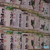 日光東照宮