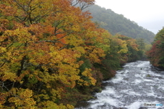 竜頭の滝　上流