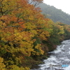 竜頭の滝　上流