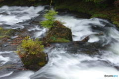 竜頭の滝　上流