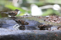 161130-41まだやっているの（３／３）