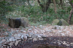 170104-23水場に来たヒヨドリとアトリ