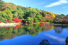 小石川植物園