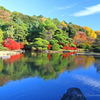 小石川植物園