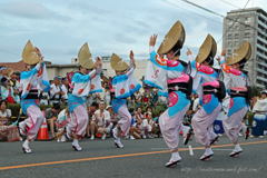 阿波踊りⅣ