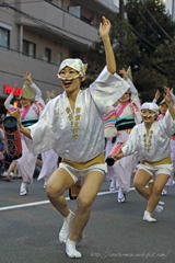 高円寺阿波踊りⅡ