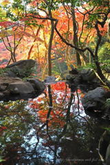 殿ヶ谷公園Ⅱ