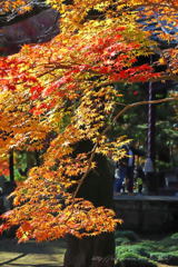 平林寺Ⅲ