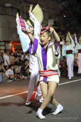 高円寺阿波踊りⅤ