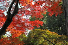 殿ヶ谷公園