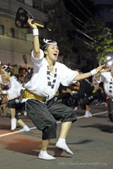 高円寺阿波踊りⅥ