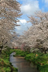 里桜