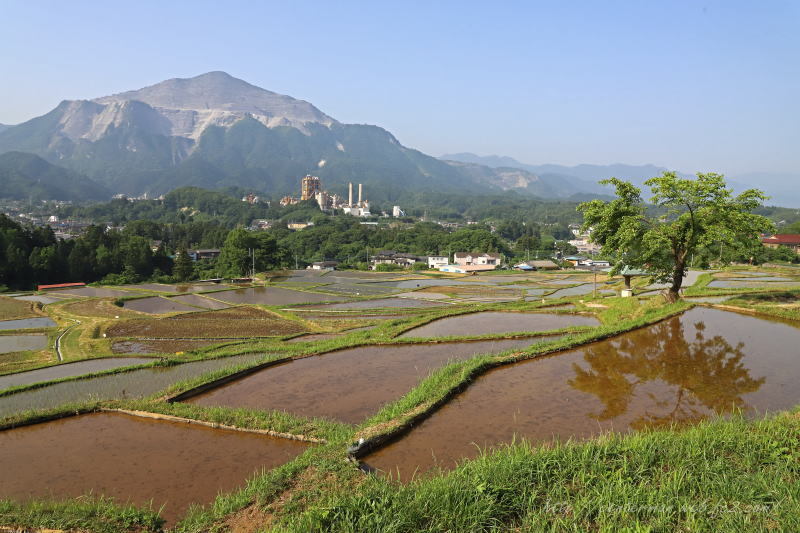 寺坂棚田