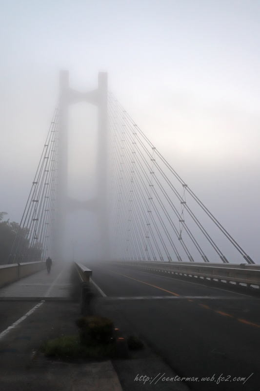 秩父ハープ橋