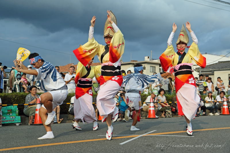 阿波踊りⅢ