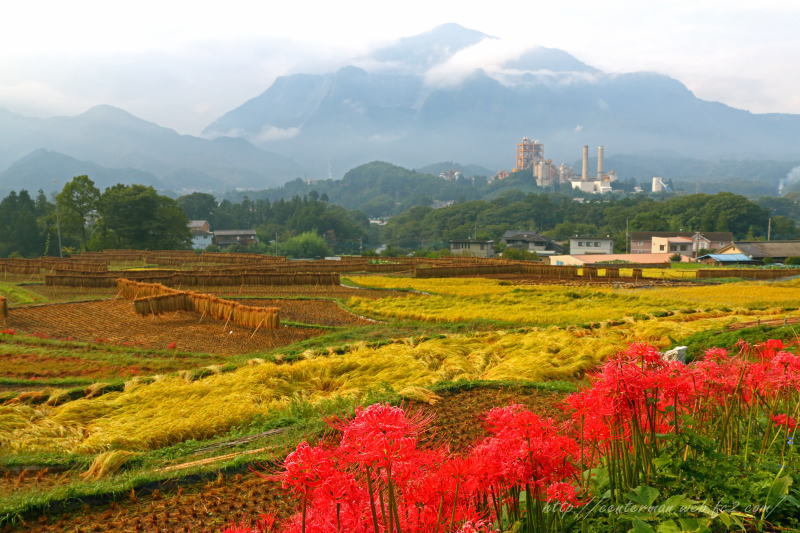 里山