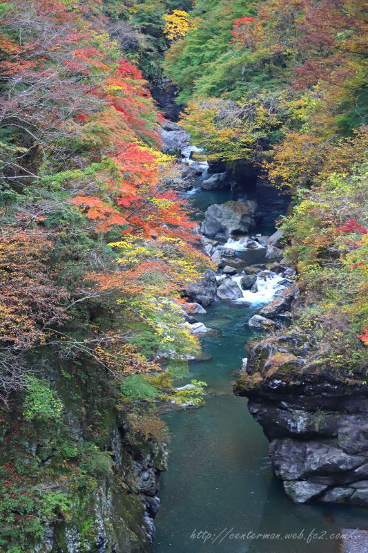 金蔵落としの渓流Ⅱ