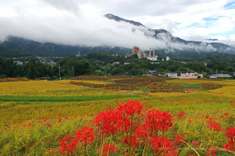 寺坂棚田Ⅱ