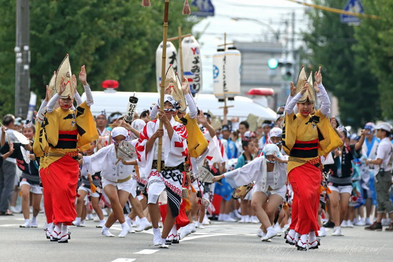 南越谷阿波踊り