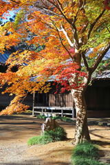 平林寺Ⅱ