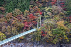 秩父湖吊り橋
