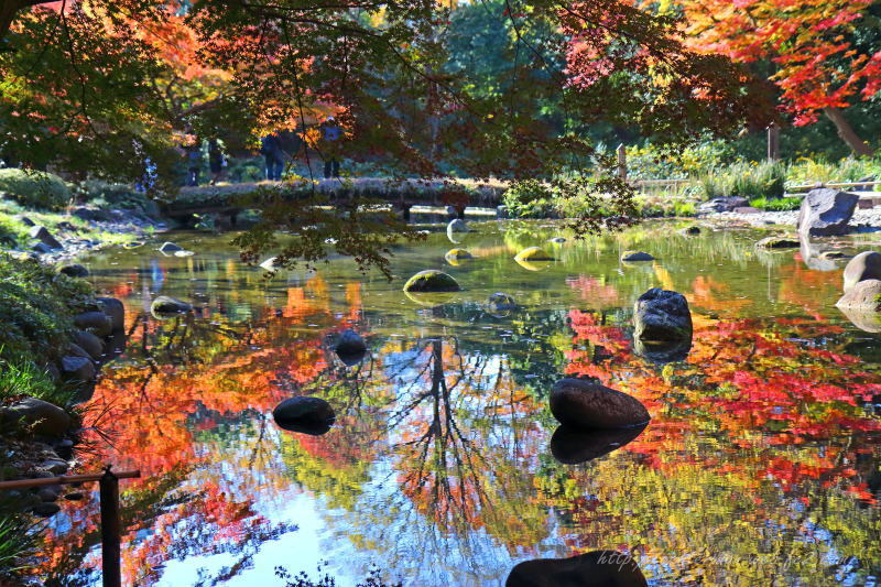 小石川後楽園Ⅲ