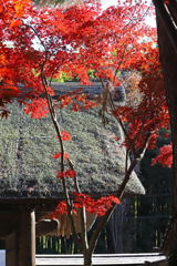 平林寺