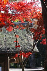 平林寺