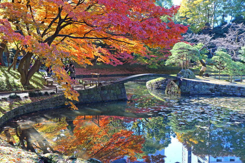 小石川後楽園Ⅱ