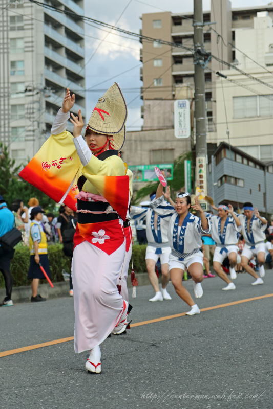 阿波踊り