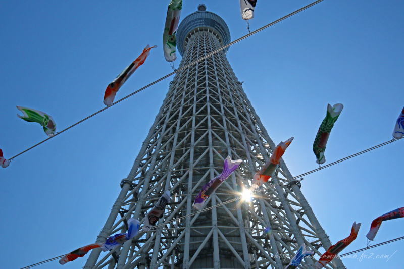 薫風Ⅱ