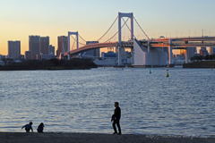 お台場海浜公園Ⅲ