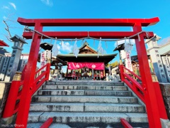 冬晴れ