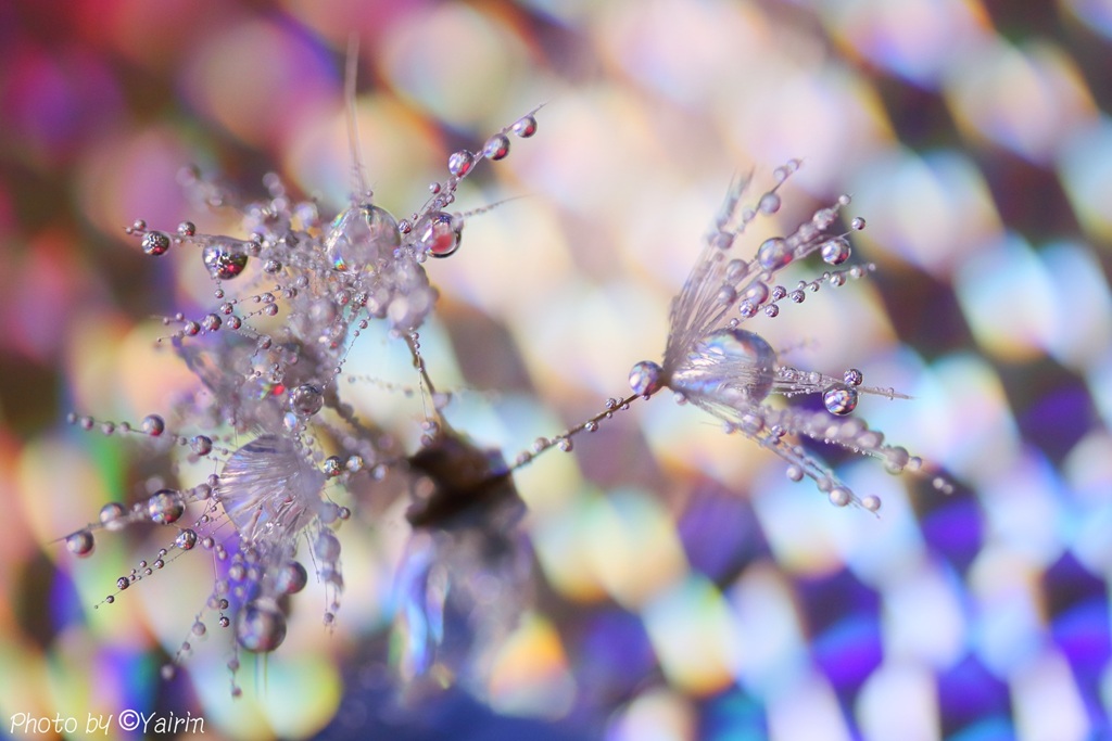 アンバランスもバランスの内。。。!?