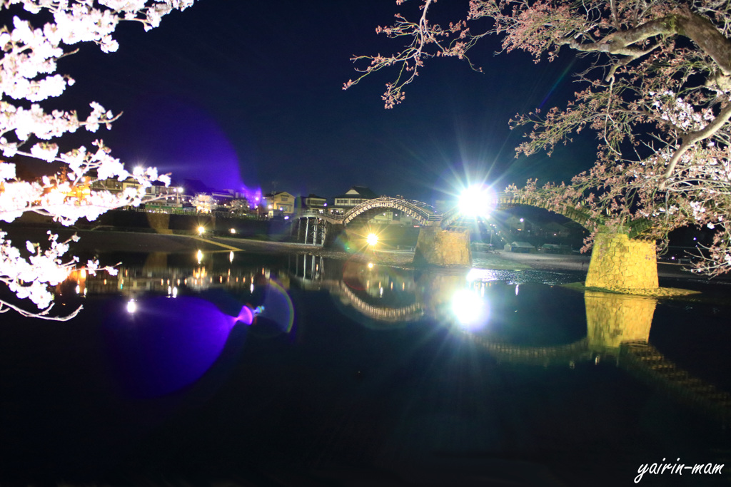 夜桜に乾杯♪