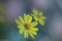 絆