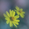 絆