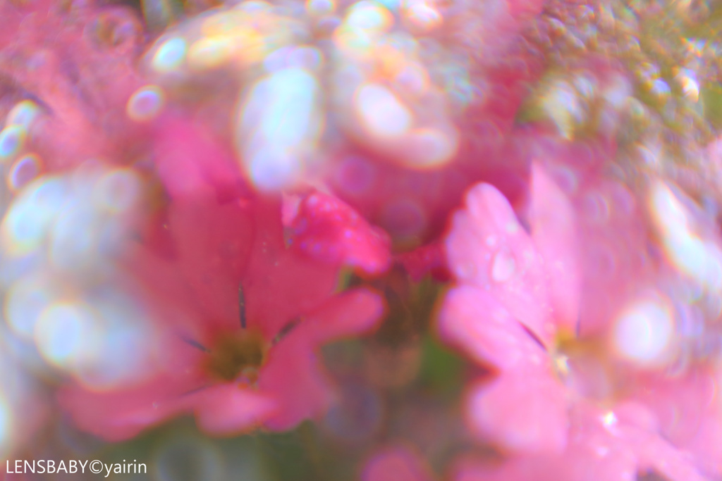 水滴遊び
