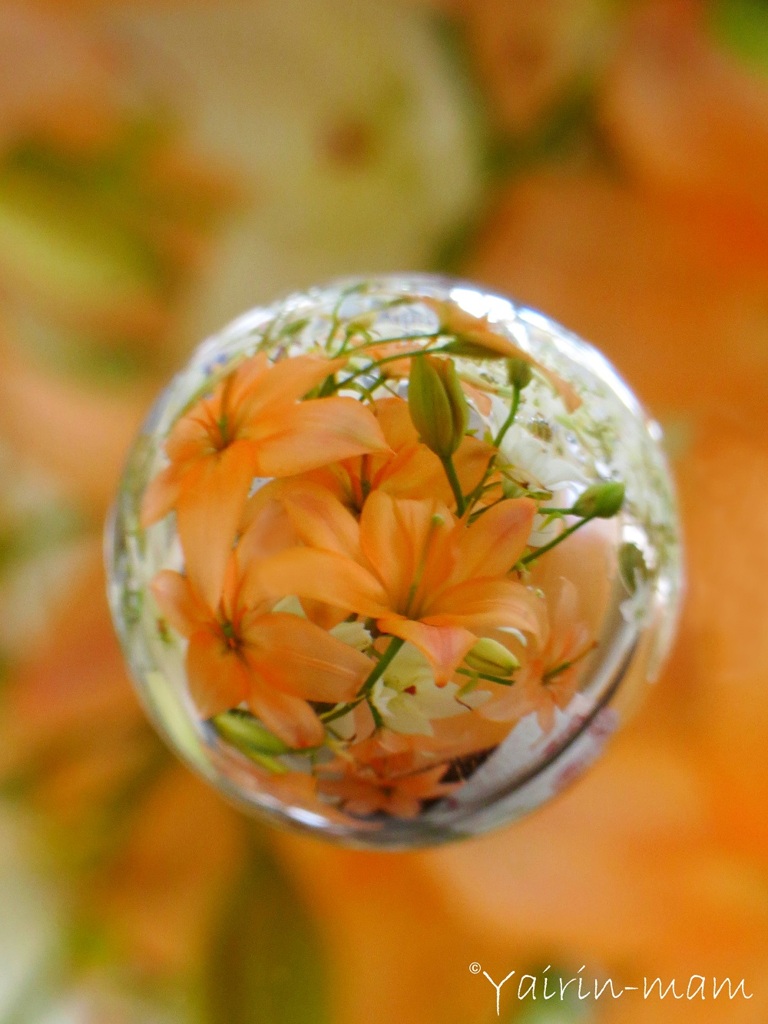 花玉