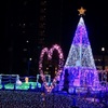 クリスマスツリー