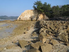 真宮島からの景色