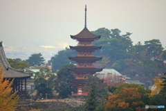 五重塔