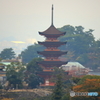 五重塔