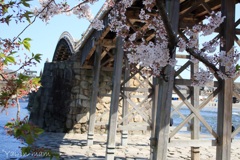 残り桜