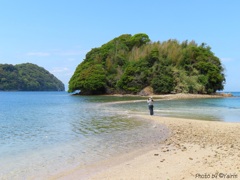 真宮島